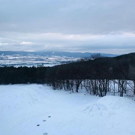 Apartman S Vyhliadkou ボイニツェ エクステリア 写真