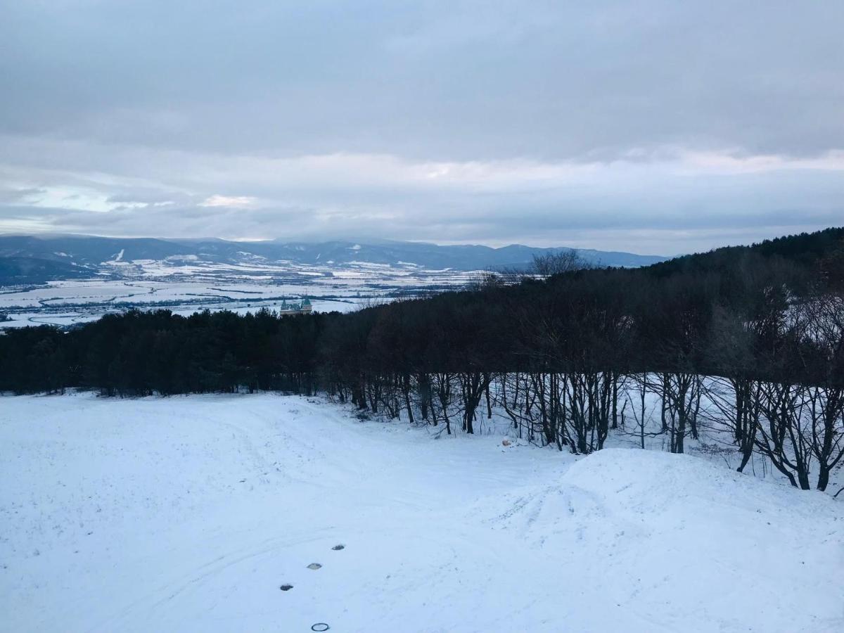 Apartman S Vyhliadkou ボイニツェ エクステリア 写真
