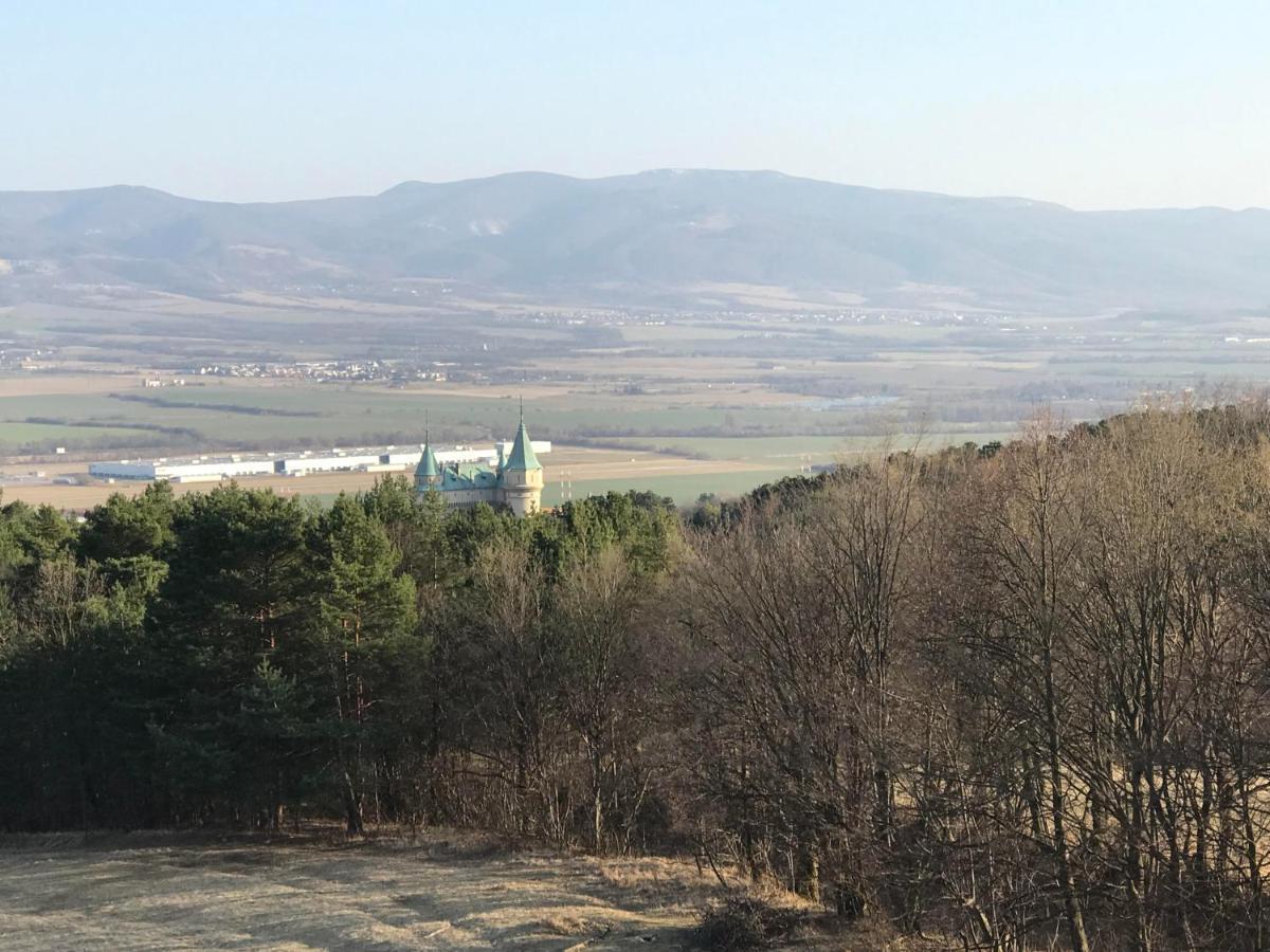 Apartman S Vyhliadkou ボイニツェ エクステリア 写真